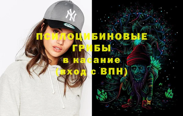 шишки Алексеевка