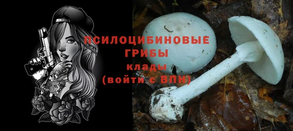 шишки Алексеевка