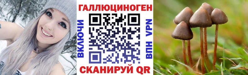 Псилоцибиновые грибы Psilocybine cubensis  Севастополь 